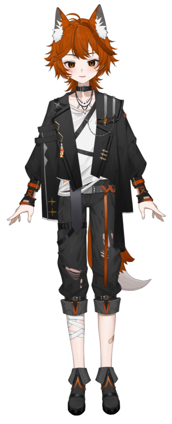 AskiVT Full Model