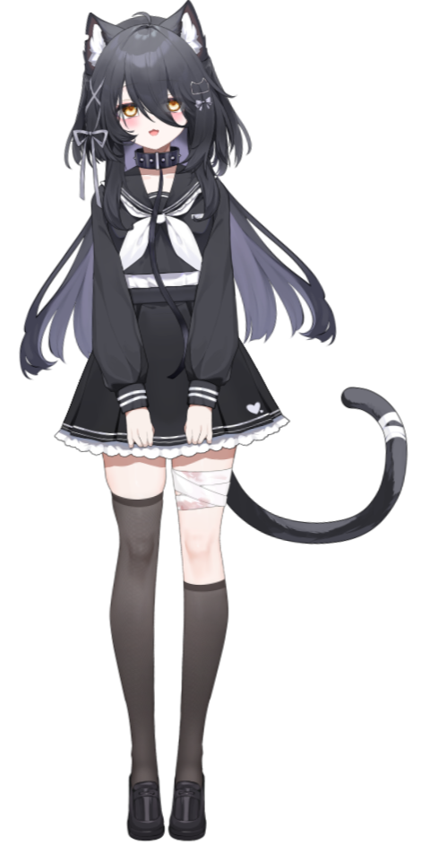 nikawka Full Model